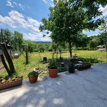 Casa Primitoare In Inima Naturii Si Padurii Rasca  Kültér fotó