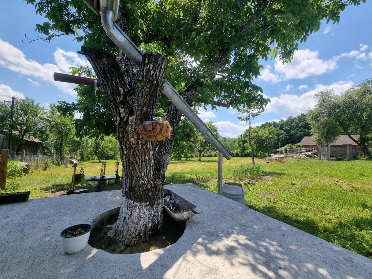 Casa Primitoare In Inima Naturii Si Padurii Rasca  Kültér fotó