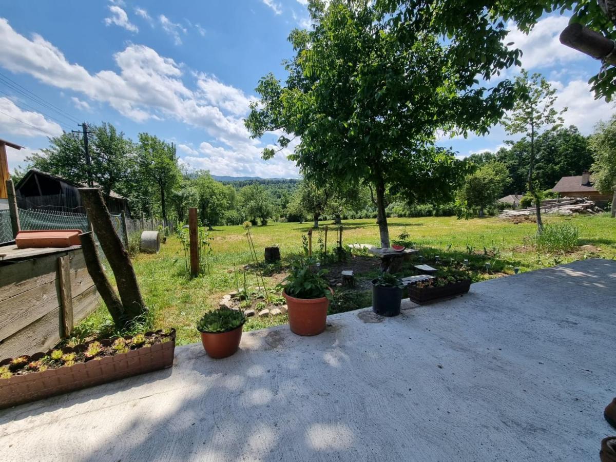 Casa Primitoare In Inima Naturii Si Padurii Rasca  Kültér fotó