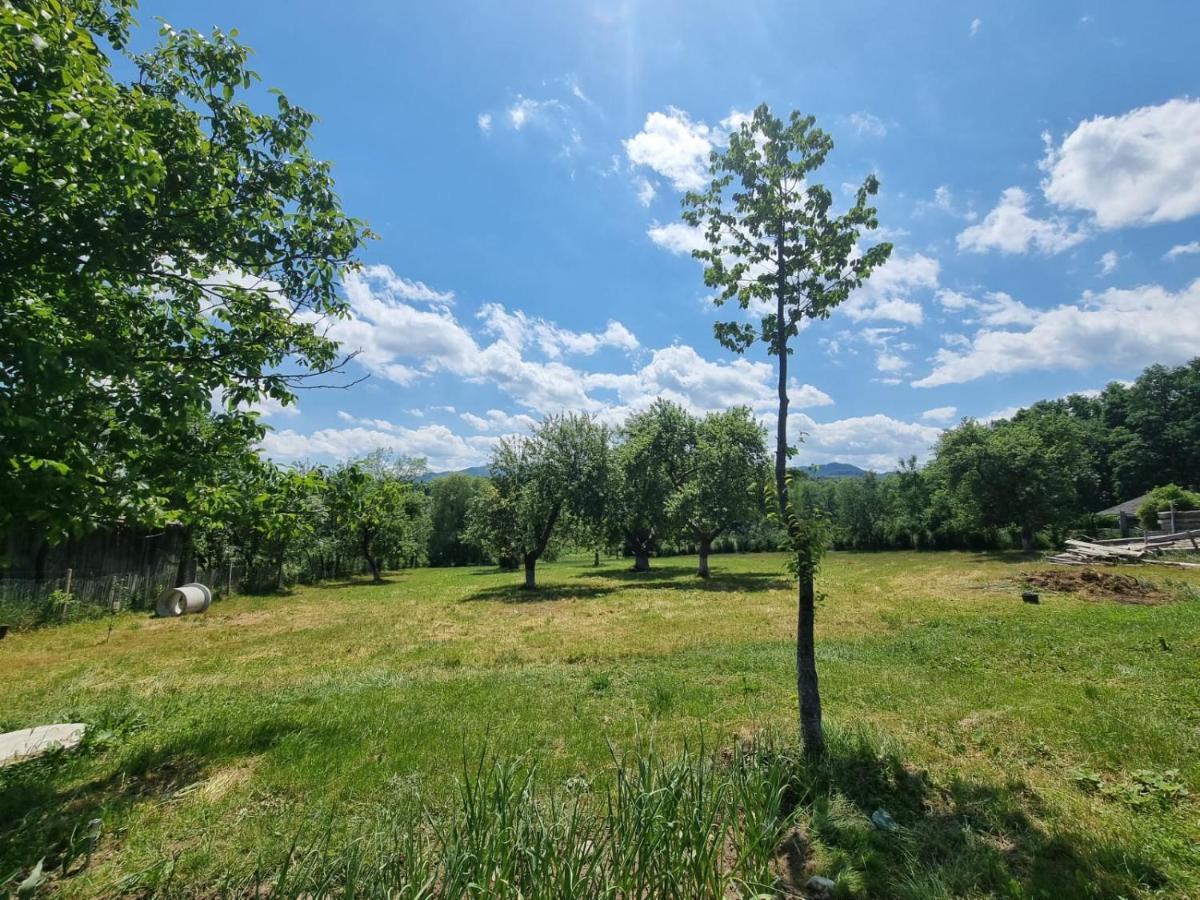 Casa Primitoare In Inima Naturii Si Padurii Rasca  Kültér fotó