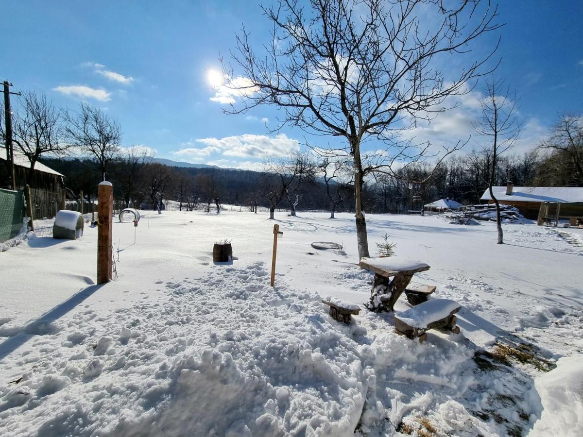 Casa Primitoare In Inima Naturii Si Padurii Rasca  Kültér fotó